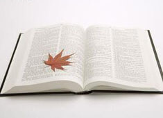 里昂经历挑战，球队寻求新的突破