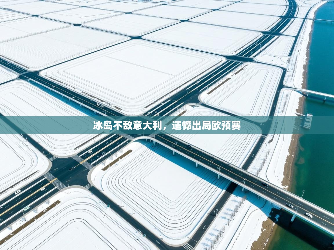 冰岛不敌意大利，遗憾出局欧预赛