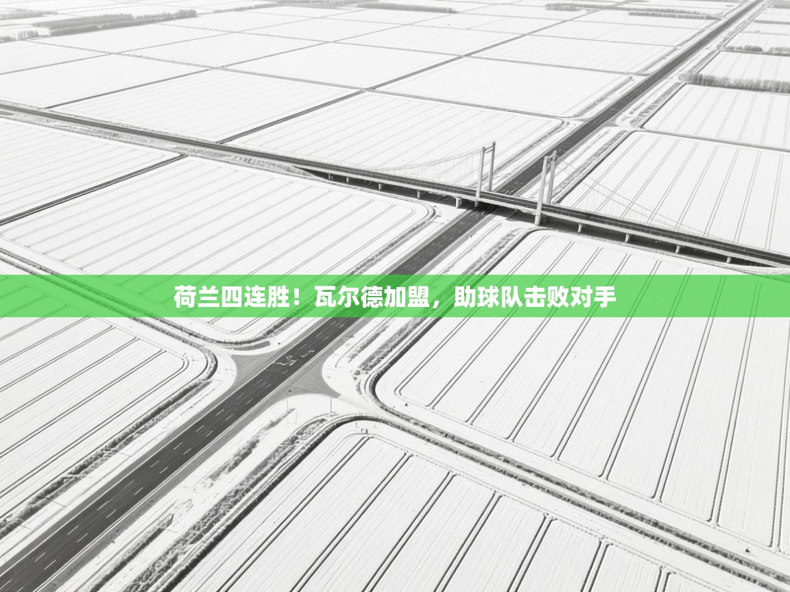 荷兰四连胜！瓦尔德加盟，助球队击败对手