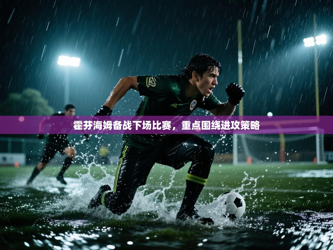 霍芬海姆备战下场比赛，重点围绕进攻策略