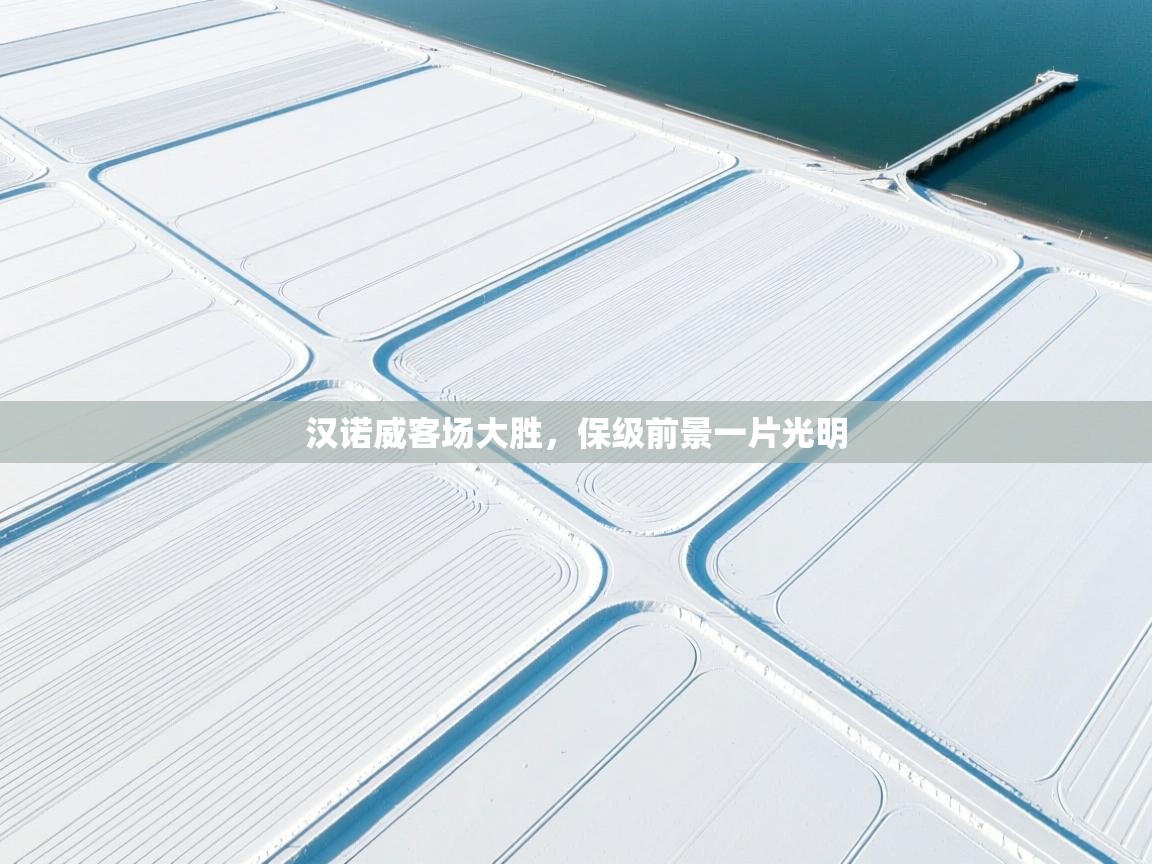 汉诺威客场大胜，保级前景一片光明  第2张