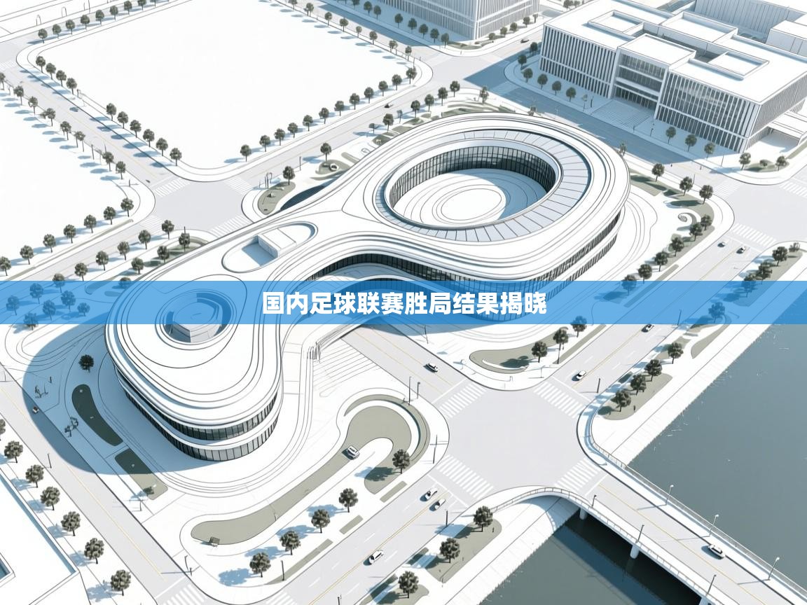 国内足球联赛胜局结果揭晓  第2张