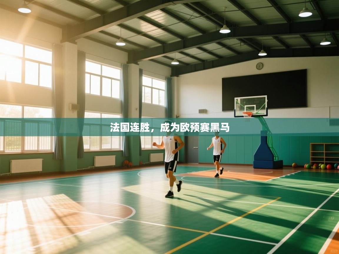 法国连胜，成为欧预赛黑马  第2张