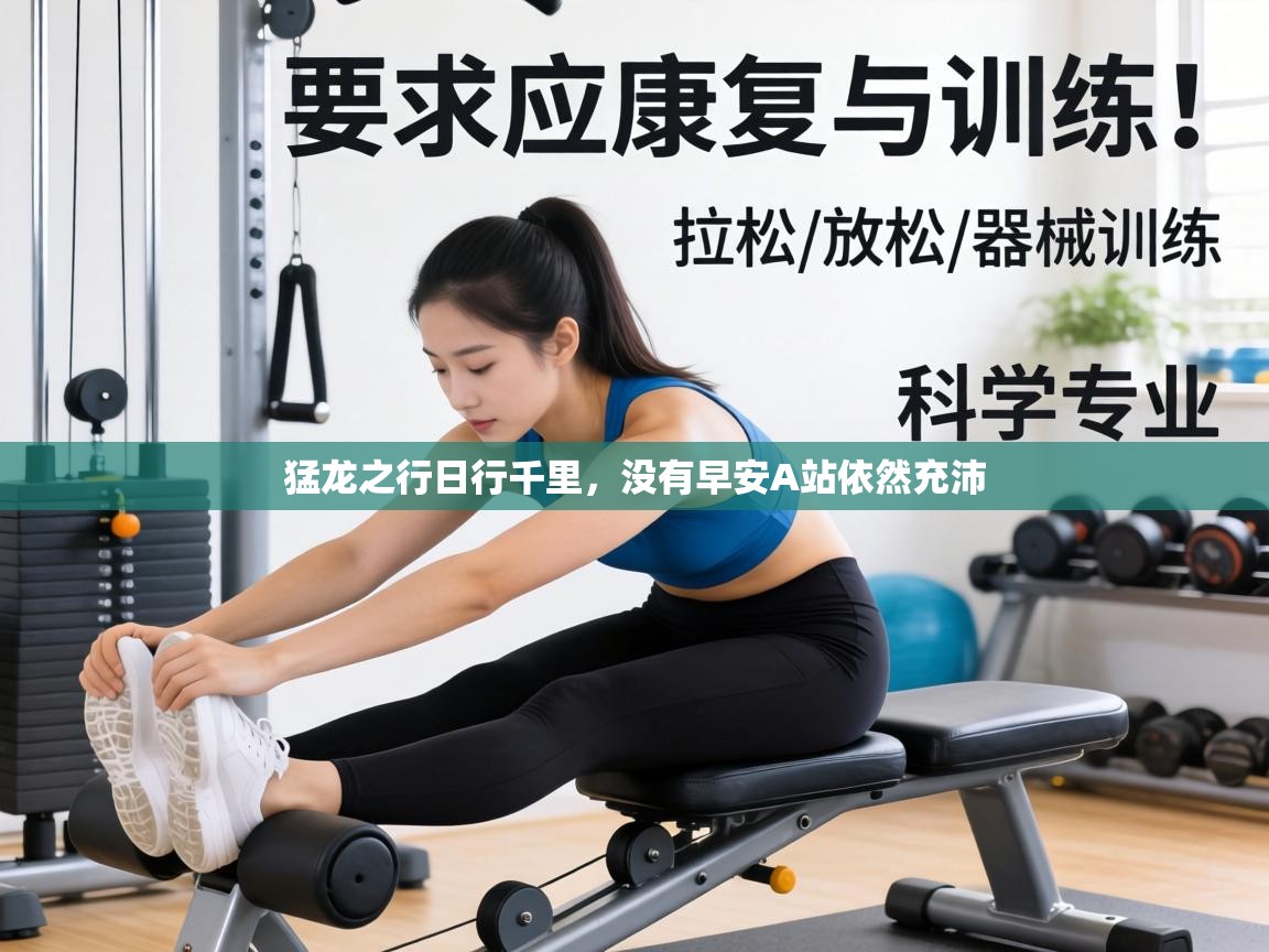 猛龙之行日行千里,没有早安A站依然充沛 第2张