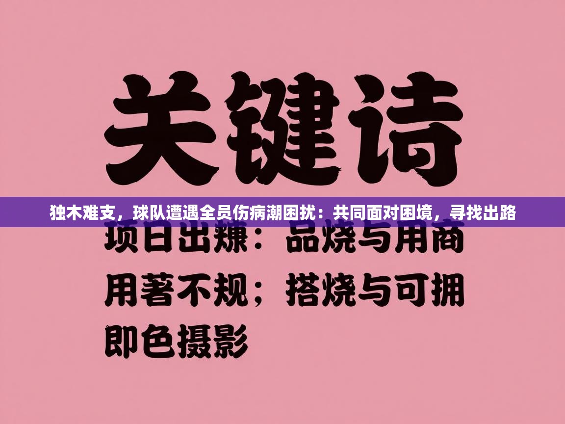 独木难支,球队遭遇全员伤病潮困扰:共同面对困境,寻找出路 第1张