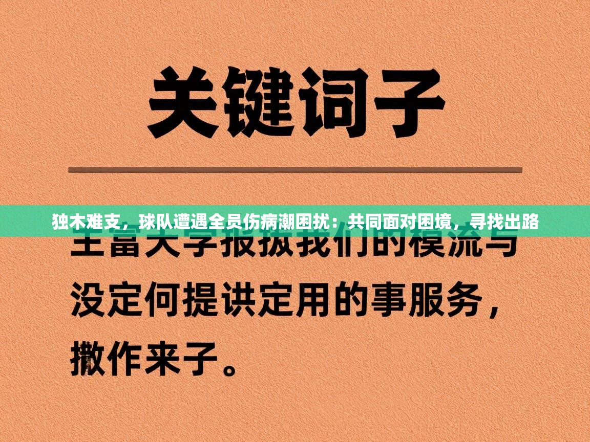 独木难支,球队遭遇全员伤病潮困扰:共同面对困境,寻找出路 第2张