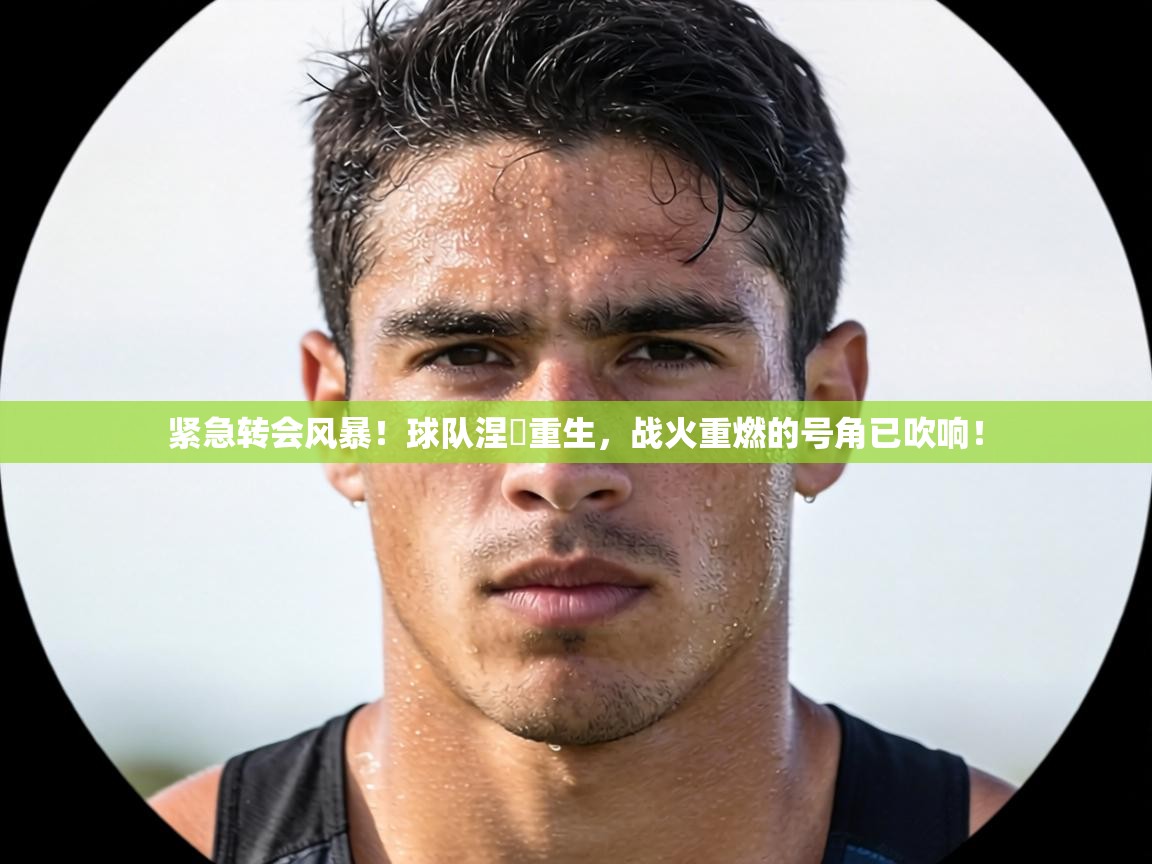紧急转会风暴!球队涅槃重生,战火重燃的号角已吹响! 第2张